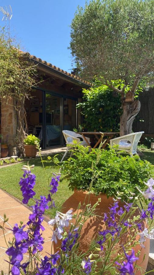 Apartament El Jardi De La Muralla